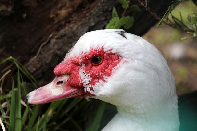 能达到的高 能达到的高