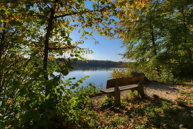 斯正在逐渐 斯正在逐渐