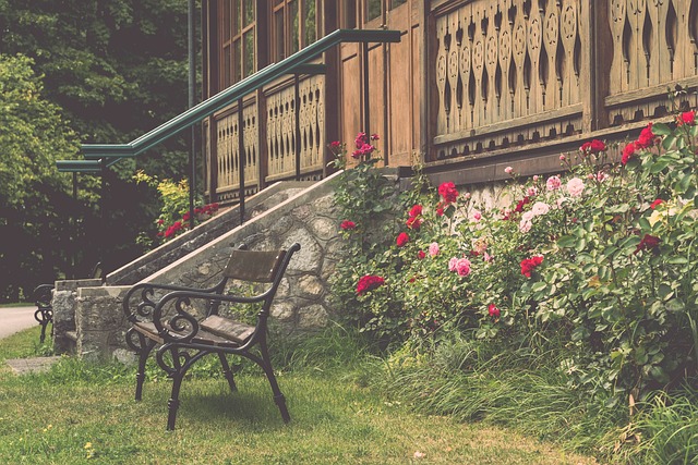 日本的籃球 日本的籃球