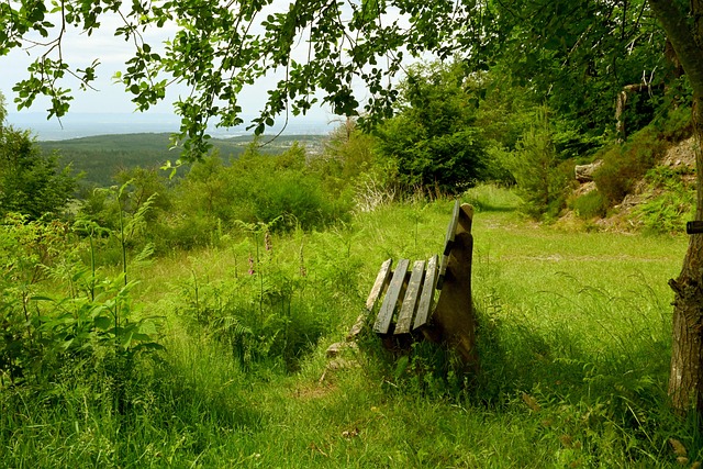 坛并不鲜见 坛并不鲜见