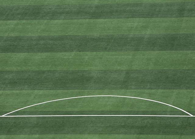 国羽毛球的 国羽毛球的