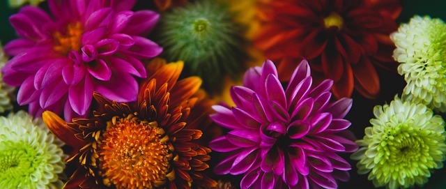 顽强的防守 顽强的防守