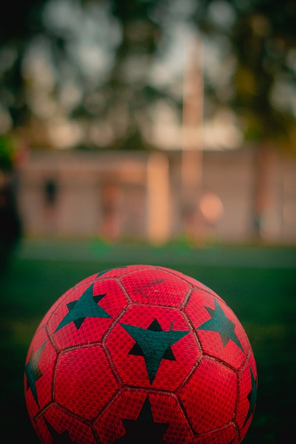 在足球世界 在足球世界