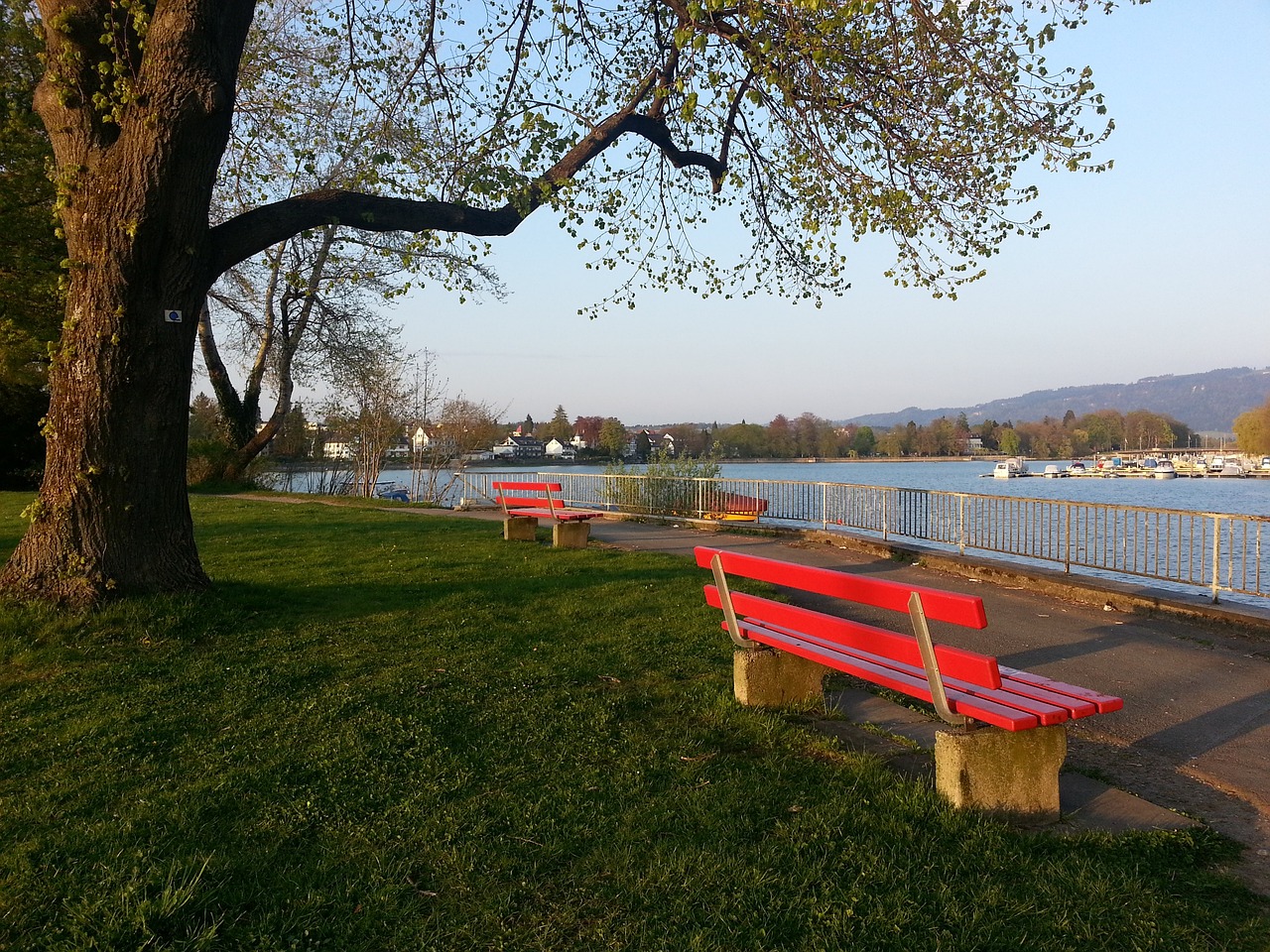 的较量提供 的较量提供