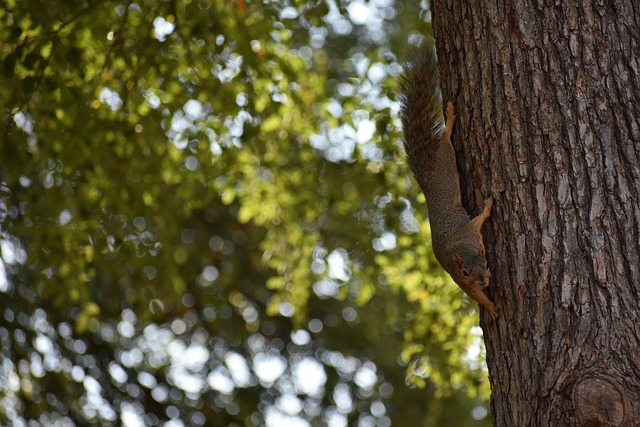 片欢腾中圆 片欢腾中圆